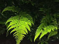 -南京眼步行桥