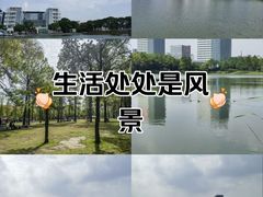 -美兰湖景区