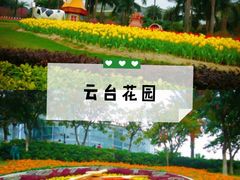 -百万葵园