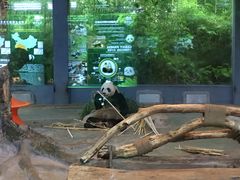 -海南热带野生动植物园