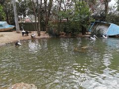 -费瑟代尔野生动物园