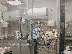 -宠物家(长阳店)