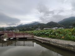 -小洞天柴火土菜馆