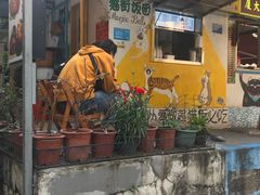 -猫街饭团(顶澳仔猫街店)