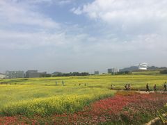 -光明小镇欢乐田园