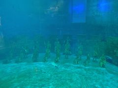 -太奥幻太奇海洋馆