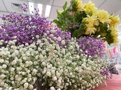 -樱花国际日语(仓山万达中心)