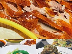 -燕春楼(海河华鼎店)