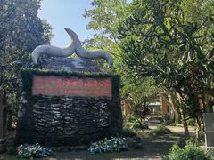 -海口火山口国家地质公园