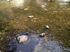 -碓臼峪自然风景区