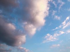 -月湖公园