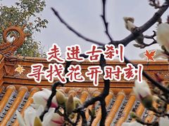 -真庆观