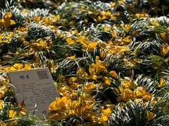 -静安公园(静安寺街道)