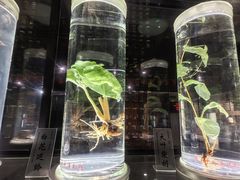 -广东中医药博物馆