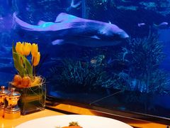 -迪拜帆船酒店海底餐厅