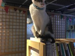 -小时光咖啡馆(开森度假森林店)