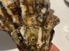 -Oyster Talks 四度蚝法餐厅