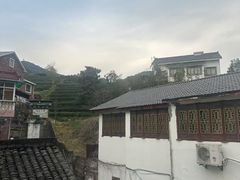 -阿巧茶庄