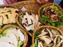 -滇野云南野生菌餐厅(陕西南路店)