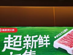 -海底捞火锅(河东万达广场店)