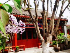 -北京古城老院厉晓麟精致菜