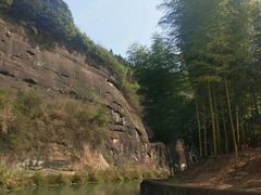 -九龙江国家森林公园