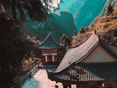 -武陵山森林公园