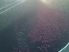 -北京美神宫艺术主题温泉酒店