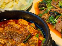 -陈麻婆豆腐总店