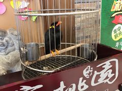 -宴桃园(门头沟店)