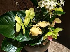 -徽季荣派徽菜