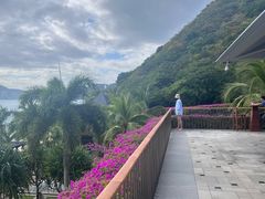 -日落吧·海景咖啡厅·餐酒吧·鸡尾酒·下午茶·乐队表演·浪漫夕阳·三亚文华东方酒店