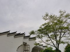 -金卉庄园