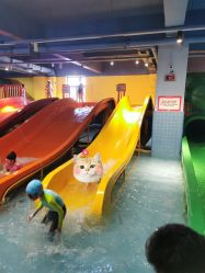 -宝燕乐园(闵行旗舰店)