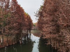 -厦门园林博览苑