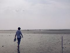 -南汇嘴观海公园