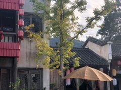 -婺源梦里老家大型山水实景演出