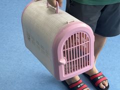 -博特宠物医院24h犬猫全科.骨科·异宠