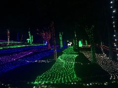-松山湖梦幻百花洲
