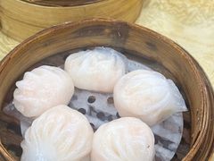 -宝塘茶楼