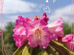 -名花谷生态庄园