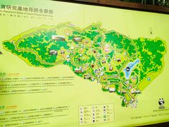 导游图-成都大熊猫繁育研究基地