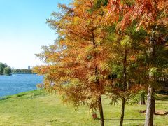 -羊亭河湿地公园