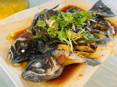 -京北渔家傲