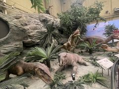 -国家自然博物馆