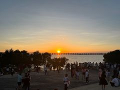 -宝安西湾红树林湿地公园