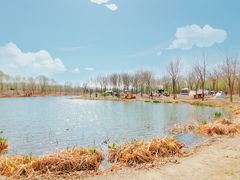 -东郊湿地公园