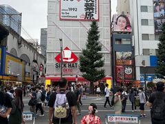 -秋叶原电器街