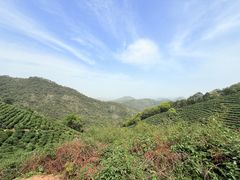 -西湖风景区十里琅珰-五云山