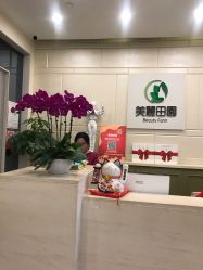 -美丽田园